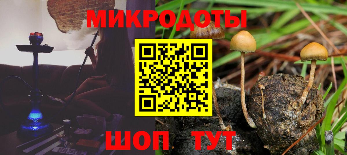 Псилоцибиновые грибы ЛСД  Галлюциногенные грибы Psilocybe  Соль-Илецк  Вход с VPN 